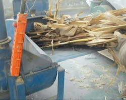 使用秸稈粉碎機將玉米秸稈粉碎處理